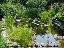 FERIENHAUS FEWO FERIENWOHNUNG Gartenteich